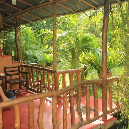 Sigiriya Nature View Home Stay Ngoại thất bức ảnh