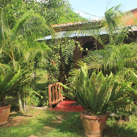 Sigiriya Nature View Home Stay Ngoại thất bức ảnh