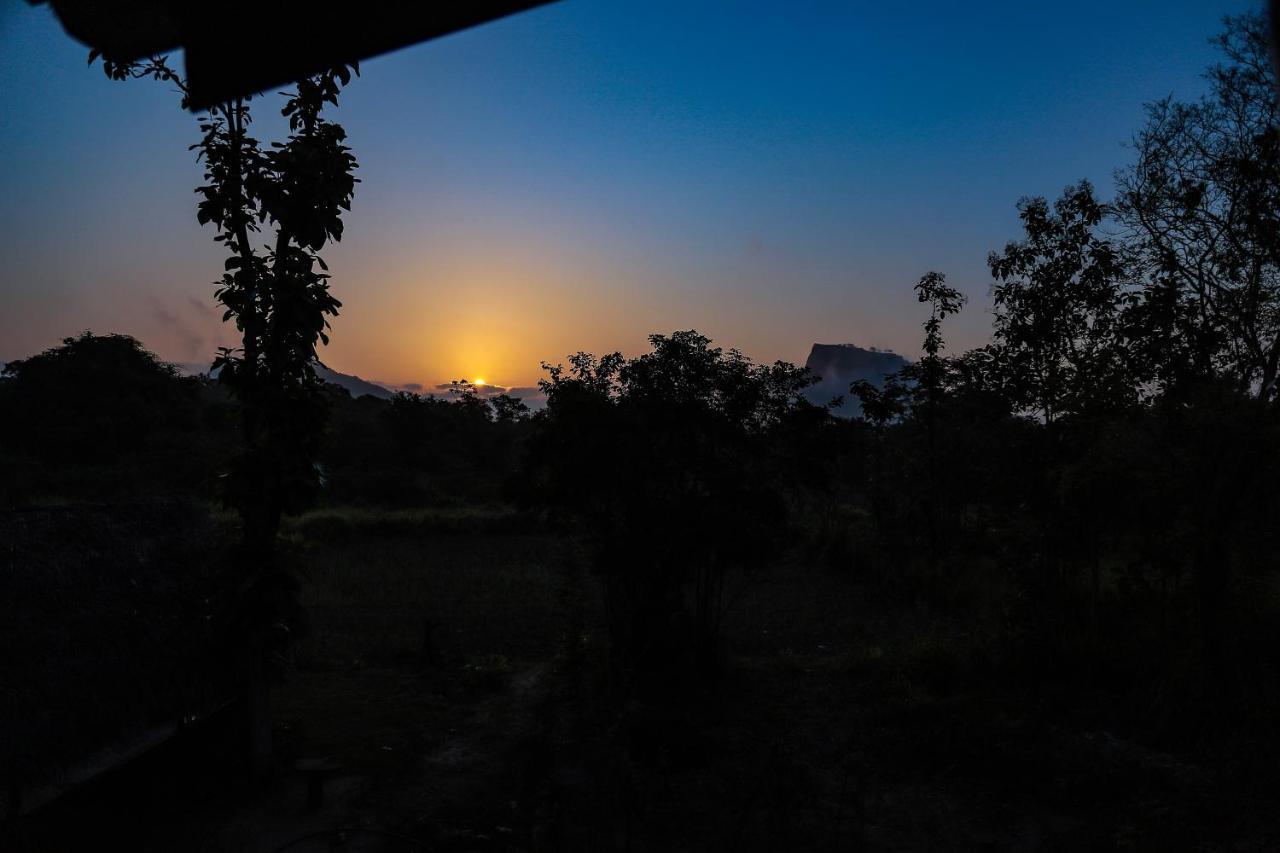 Sigiriya Nature View Home Stay Ngoại thất bức ảnh