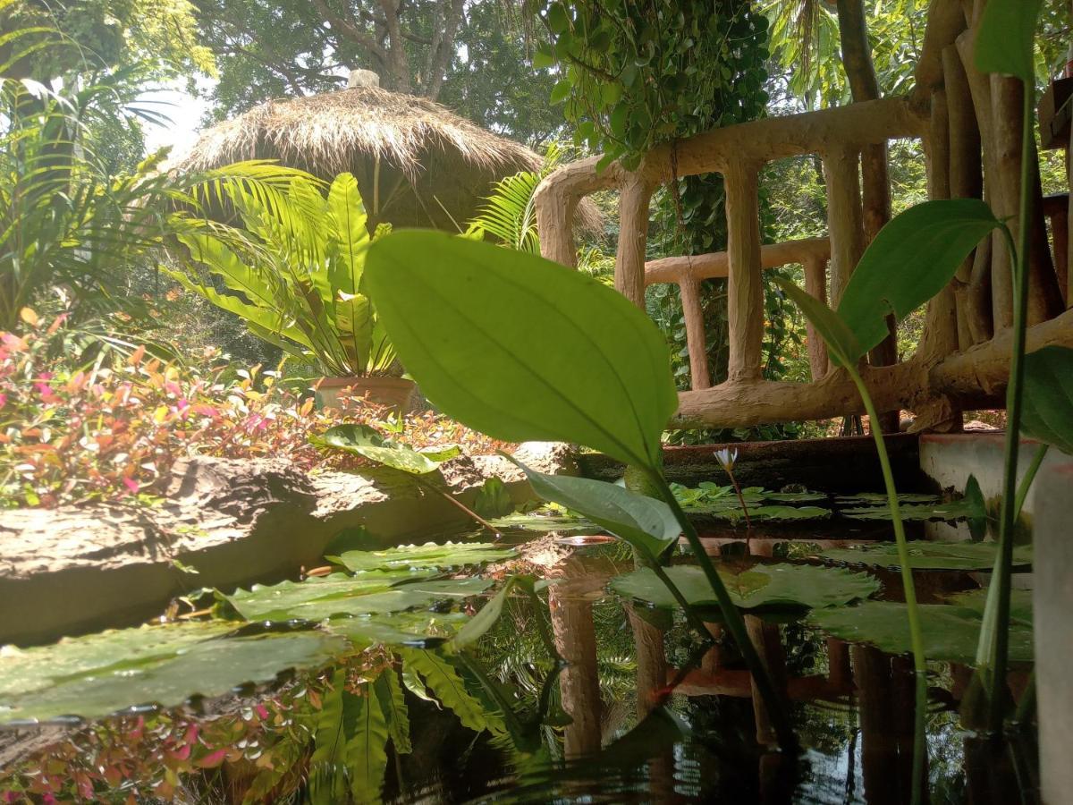 Sigiriya Nature View Home Stay Ngoại thất bức ảnh