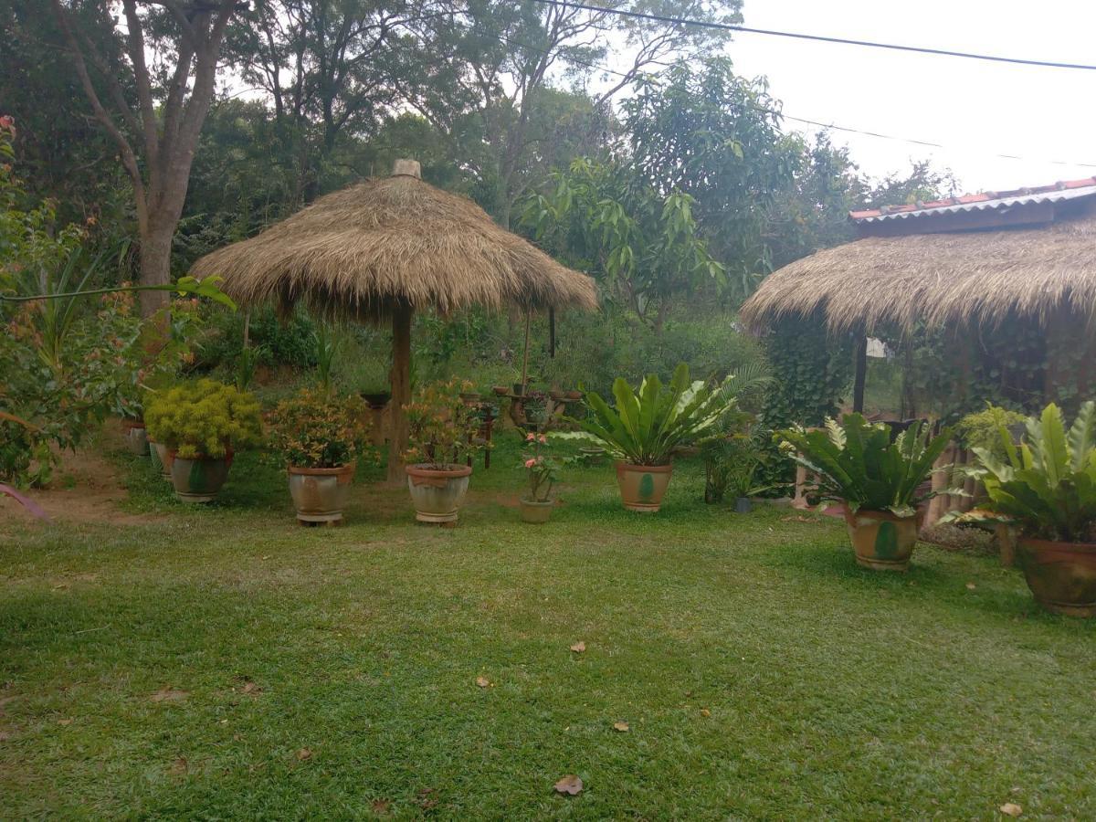 Sigiriya Nature View Home Stay Ngoại thất bức ảnh
