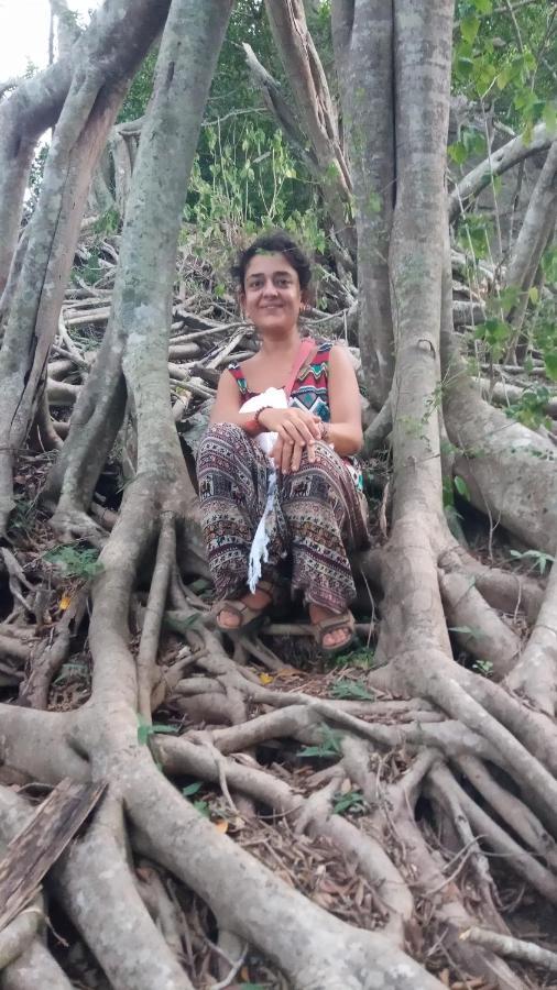 Sigiriya Nature View Home Stay Ngoại thất bức ảnh