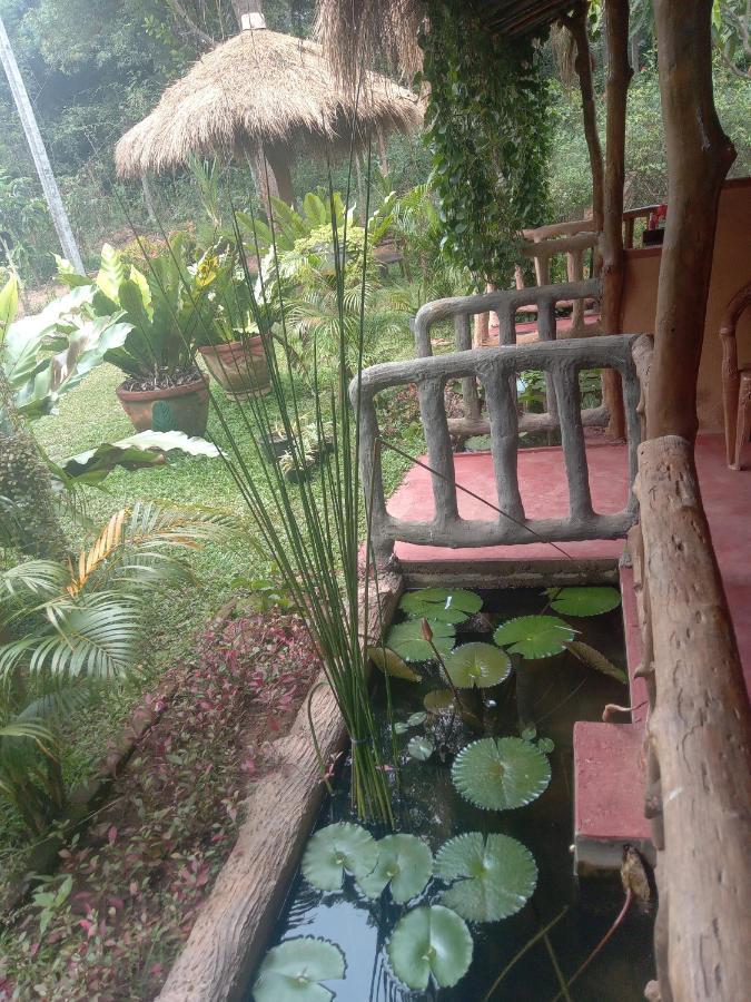 Sigiriya Nature View Home Stay Ngoại thất bức ảnh