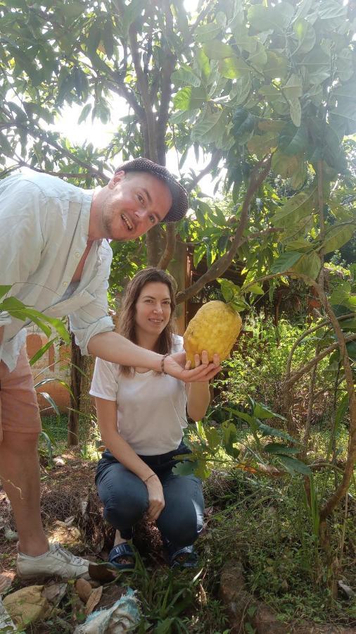 Sigiriya Nature View Home Stay Ngoại thất bức ảnh