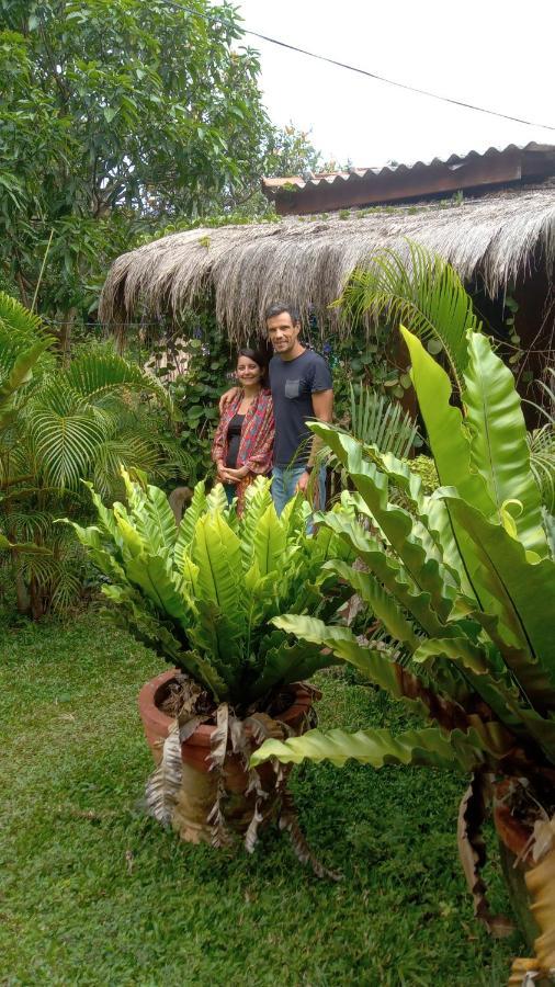 Sigiriya Nature View Home Stay Ngoại thất bức ảnh