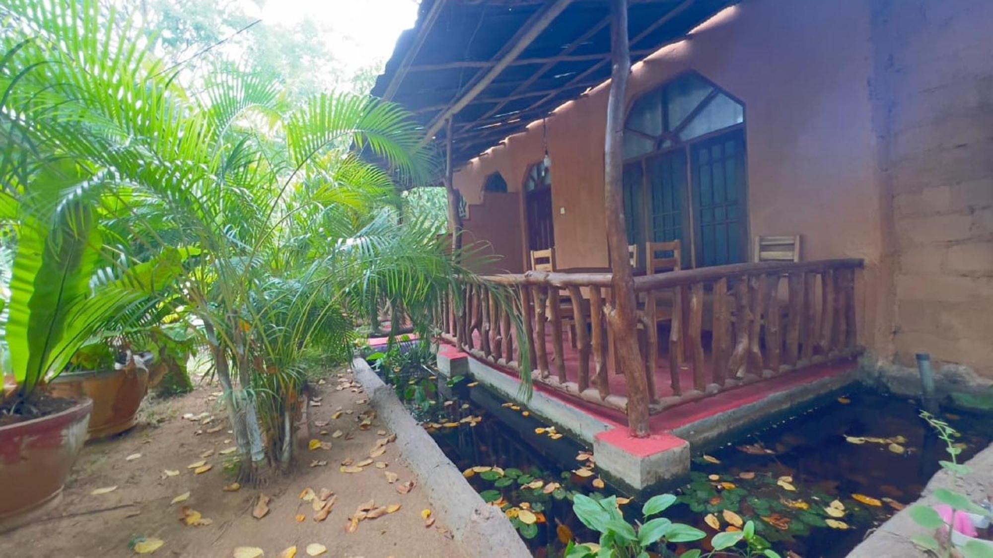 Sigiriya Nature View Home Stay Ngoại thất bức ảnh