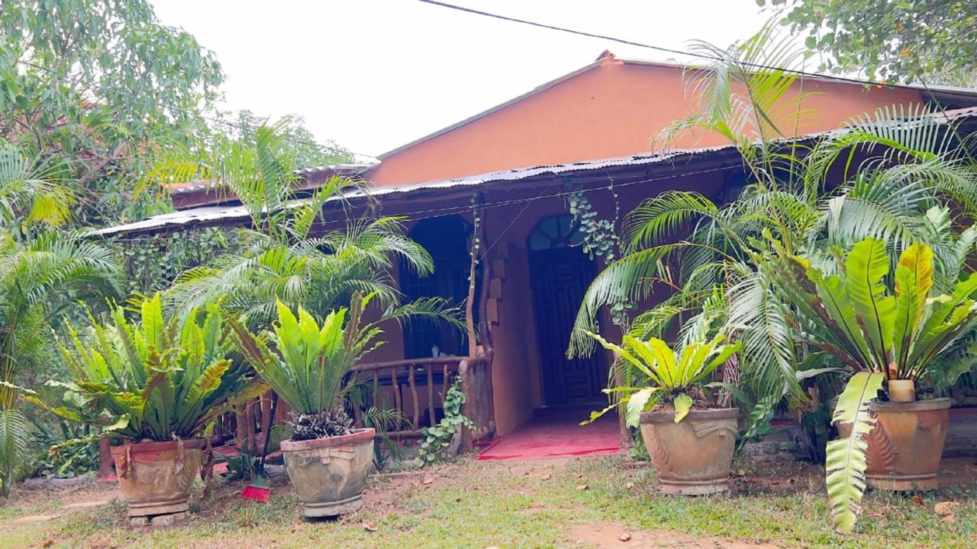 Sigiriya Nature View Home Stay Ngoại thất bức ảnh