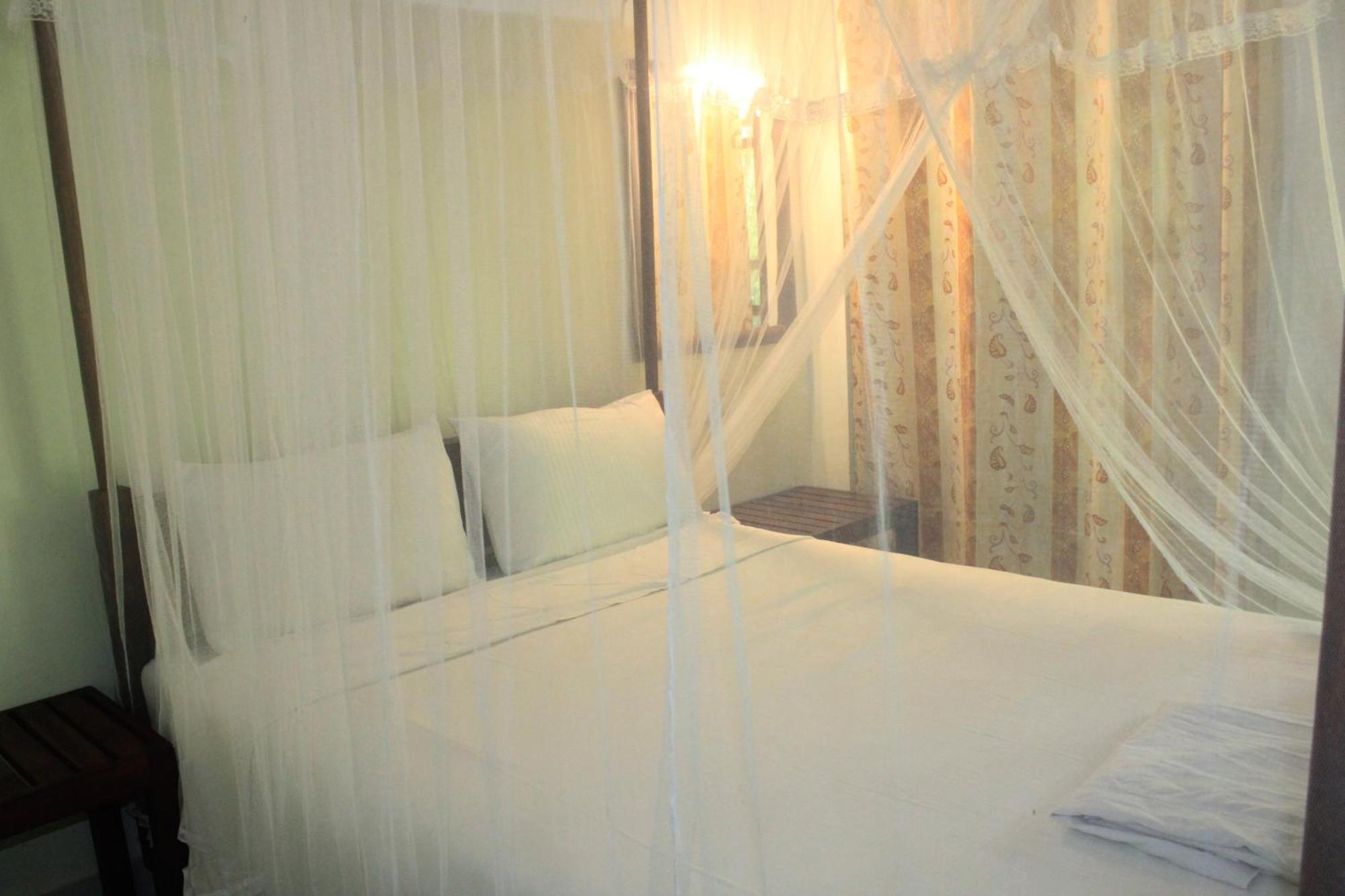 Sigiriya Nature View Home Stay Ngoại thất bức ảnh