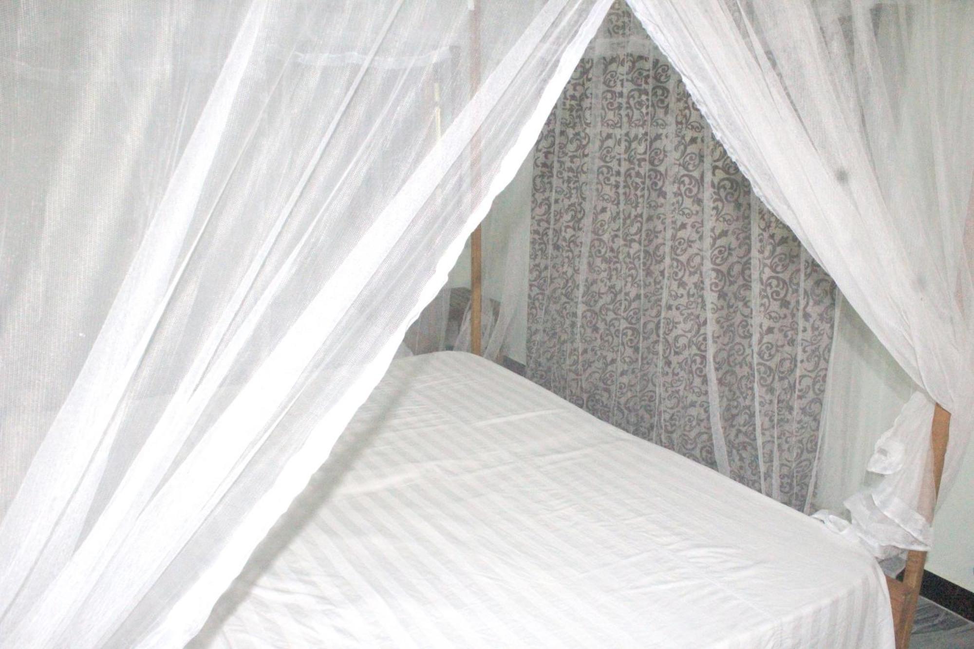 Sigiriya Nature View Home Stay Ngoại thất bức ảnh