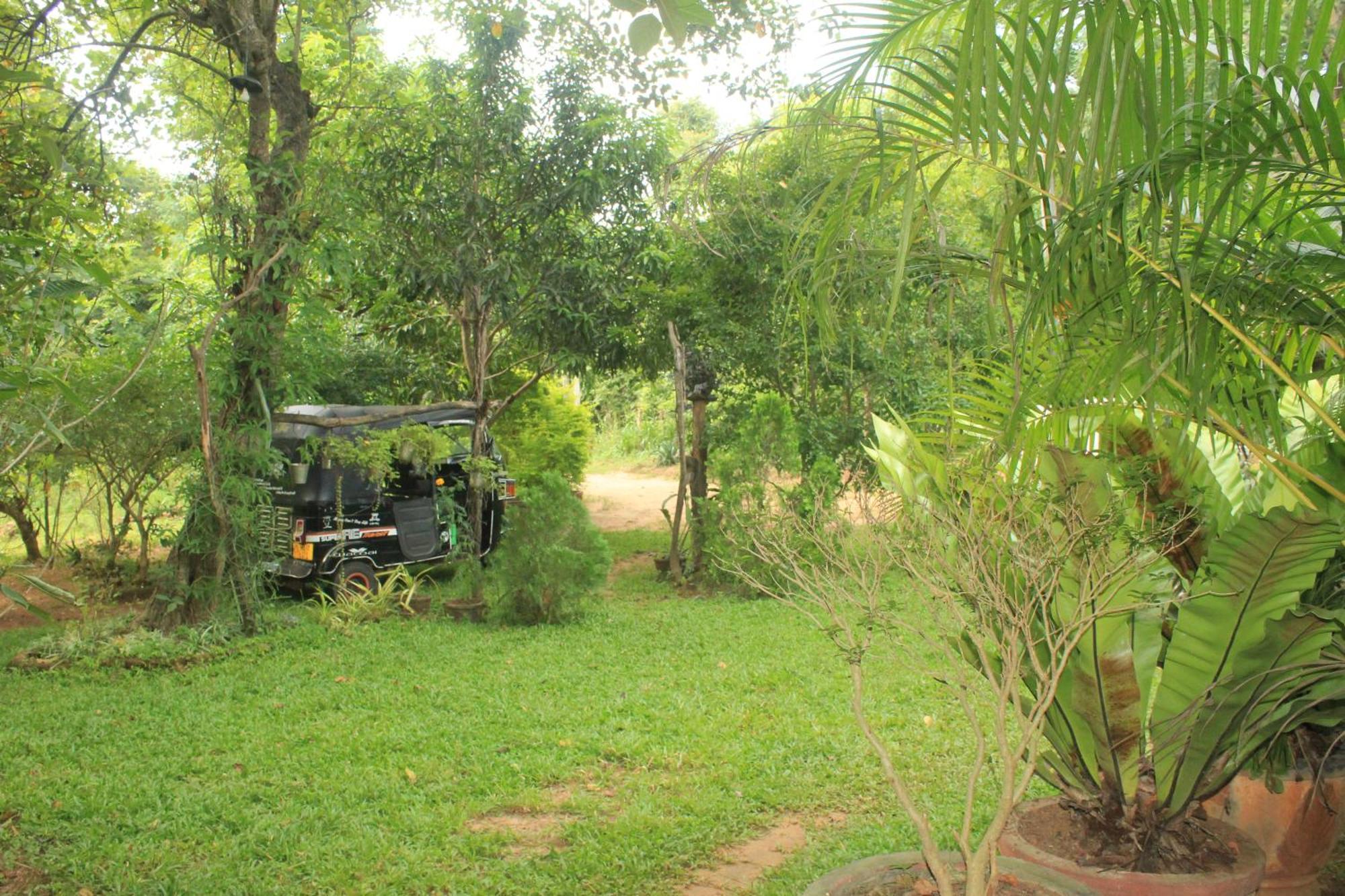 Sigiriya Nature View Home Stay Ngoại thất bức ảnh