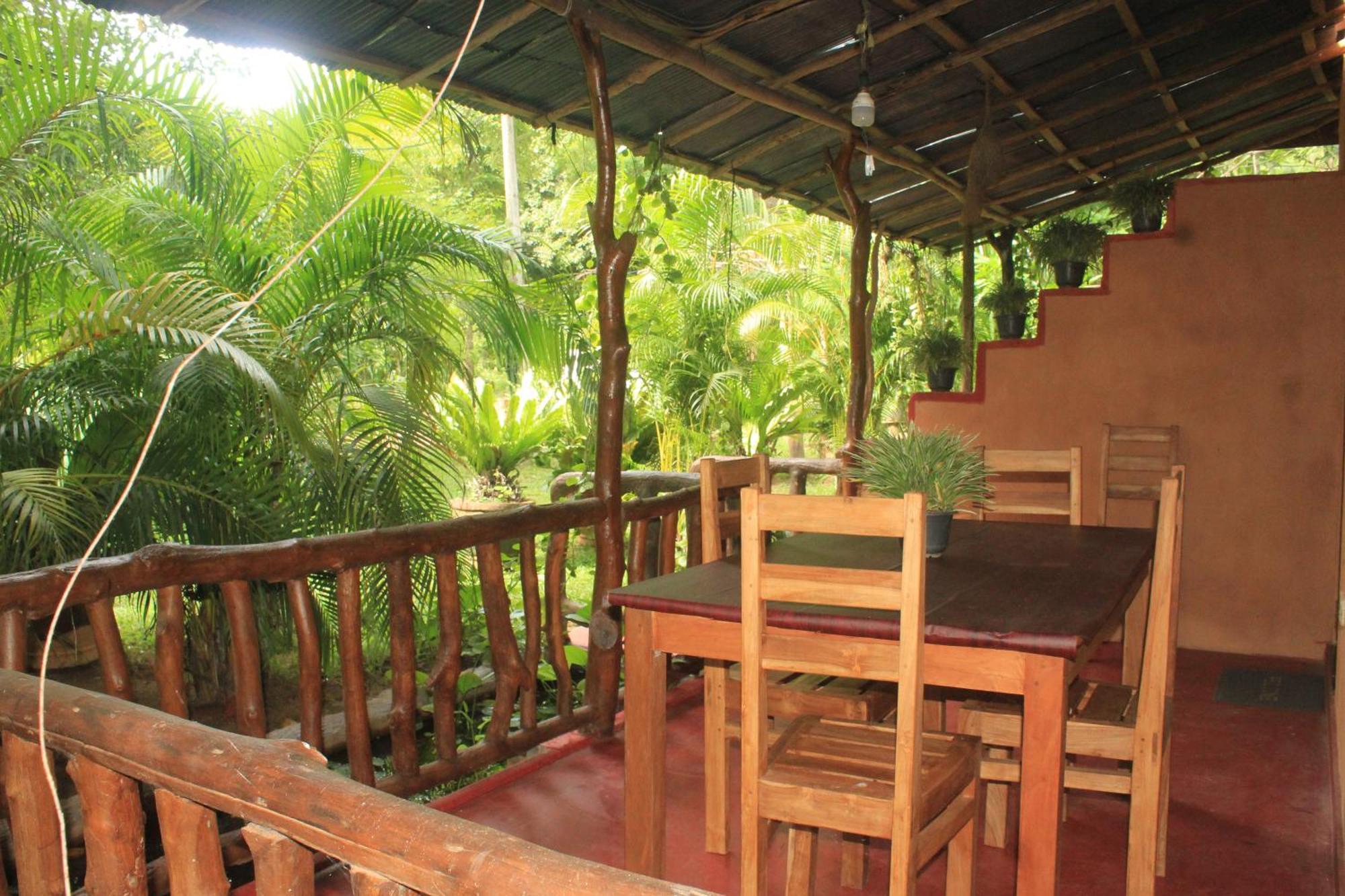 Sigiriya Nature View Home Stay Ngoại thất bức ảnh